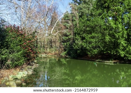 Japanese garden flowers and green trees reflected in pond