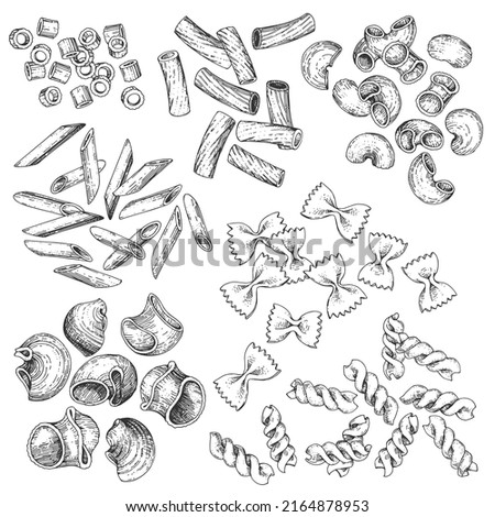 A collection of vector pasta of various varieties. Hand-drawn sketches. Vintage style engraving Royalty-Free Stock Photo #2164878953
