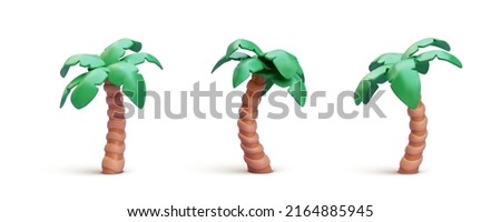 Set of 3d realistic render palm isolated on white background. Vector illustration
