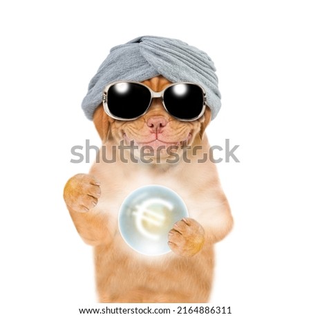 Smiling puppy fortune teller wearing sunglasses with euro sign predicts future with magic ball. isolated on white background