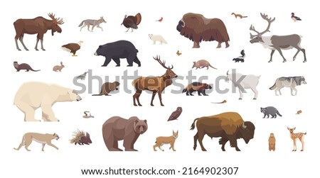 Flat set of north american animals. Isolated animals on white background. Vector illustration Royalty-Free Stock Photo #2164902307