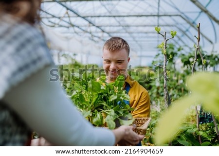 Young man with Down syndrome working as a gardener in garden centre Royalty-Free Stock Photo #2164904659