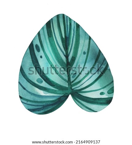 Watercolor green exotic hand drawn tropical leaf isolated on white background.