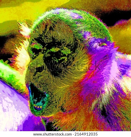 The patas monkey (Erythrocebus patas), also known as the wadi monkey or hussar monkey  sign illustration pop-art background icon with color spots