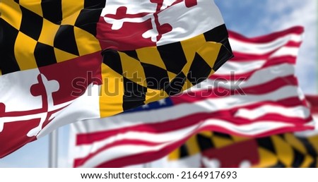The Maryland state flag waving along with the national flag of the United States of America. In the background there is a clear sky. Maryland is a state in the Mid-Atlantic region of the United States Royalty-Free Stock Photo #2164917693