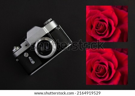 Old camera and red rose on the black background. Top view.