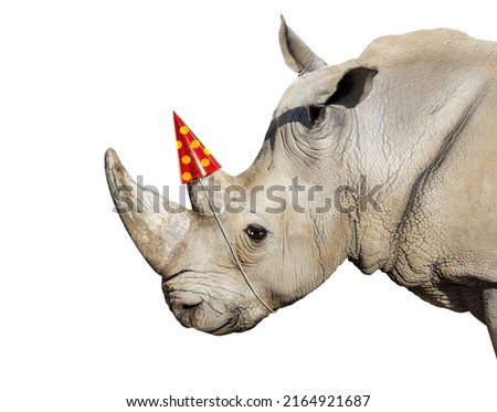 Happy rhinoceros head portrait wear party cap on the horn - concept mixed media composition image