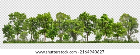 Green trees isolated on transparent background forest and summer foliage for both print and web with cut path and alpha channel Royalty-Free Stock Photo #2164940627
