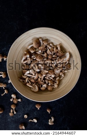Top view of mixture of wild shiitake mushrooms in bamboo bowl on dark black background.