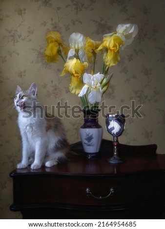 Curious kitty and splendid bouquet of iris flowers