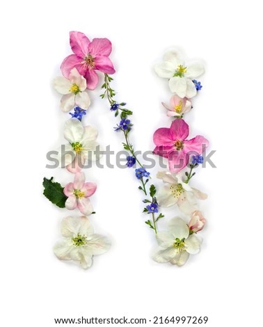 Letter N of flowers apple tree and blue wildflowers forget-me-nots on white background. Top view, flat lay
