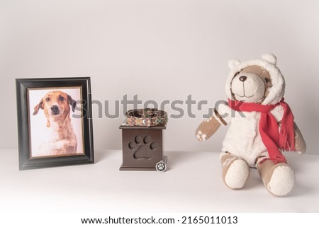 urn with a puppy print, on it, a colorful leash, next to it a photograph of the puppy and a teddy bear. White background
