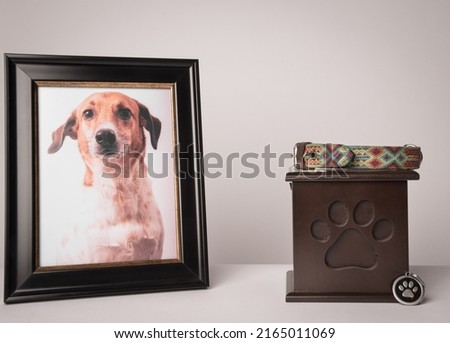 urn with a puppy print, on it, a colorful leash, next to it a photograph of the puppy. White background Royalty-Free Stock Photo #2165011069