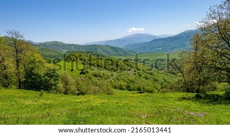 Peaceful view in the mountains in summer. Field with flowers, green hills, mountains in the distance, blue sky. Royalty-Free Stock Photo #2165013441