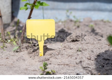 A yellow plastic garden marker indicating a plant in the garden. Label garden for marking. A reusable plate is designed to display information about planted crops