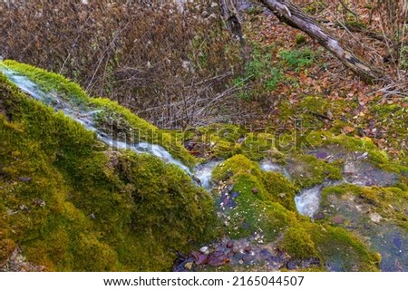 Natural spring with mineral drinking water in the wild with stones overgrown with moss. Background or backdrop with copy space for text