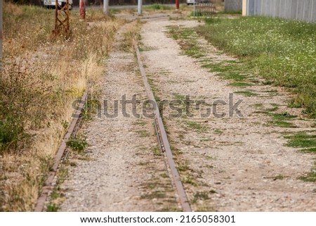 Perspective of old and rusty rail, meter gauge, on an abandoned railway line with its typical metal track covered in grass and mud due to the lack of use.

