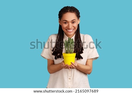 Portrait of good looking woman with black dreadlocks carrying potted cactus to her home garden, smiles pleased, wearing white shirt. Indoor studio shot isolated on blue background.