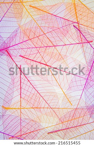 Autumn colors transparent