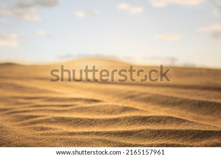 Golden sand in a deep desert during golden hour during the day.
