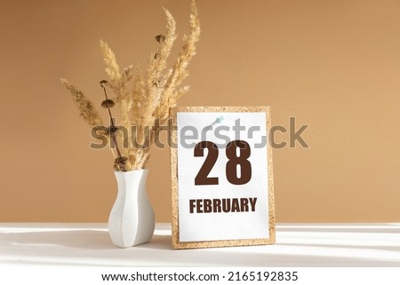 february 28. 28th day of month, calendar date.White vase with dried flowers on desktop in rays of sunlight on white-beige background. Concept of day of year, time planner, winter month. Royalty-Free Stock Photo #2165192835