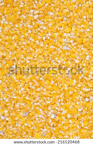 corn grain studio shot food background with texture