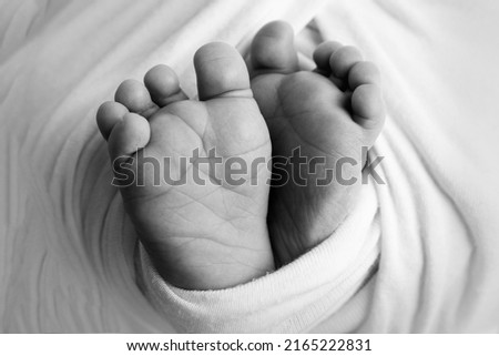 Tiny, cute, bare feet of a little newborn baby girl or boy, two weeks old, wrapped in a soft and cozy blanket. Professional studio macro photography of a newborn. Fingers, feet, heels. Black and white