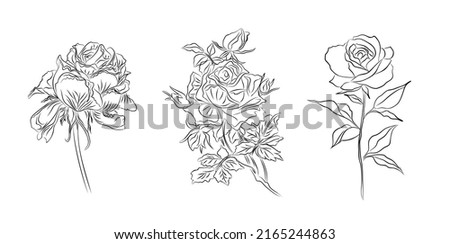 Set of Rose flowers line art vector illustration. Monochrome hand drawn black ink sketch isolated on white background.