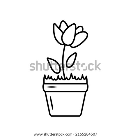 Hand drawn of flower in a pot. Doodle. Home plant in sketch style. Vector illustration isolated on white background.