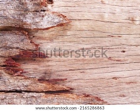 Grunge old wood texture peeling pattern. Use this for wallpaper or background image. Background for text or design	