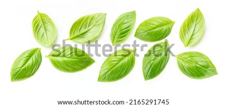 Basil leave. Set of fresh green basil leaves (Ocimum basilicum) isolated on white background. Top view. Royalty-Free Stock Photo #2165291745