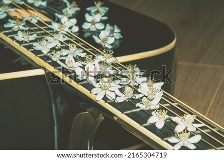 Beautiful white flowers on the guitar. Guitar with flowers on strings. Romantic guitar