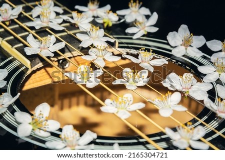 On the guitar strings. Strings in flowers close up. Spring flowers