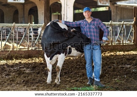 Farmer worker man at cow farm, livestock ranches Royalty-Free Stock Photo #2165337773