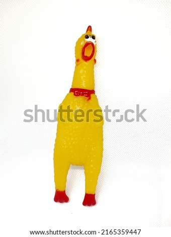 The isolate image of squeaky chicken toy looks funny. Mouth open wide, ready to bite.
