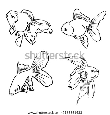 Tropical sea and aquarium fishes collection on white background. Set of freshwater and saldwater aquarium cartoon fishes. Varieties of ornamental popular fish in sketch line drawing style