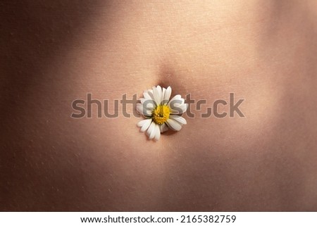 Female beautiful tummy with a chamomile flower in the navel. Perfect body shape. Parts of a female body. Torso of slim female Royalty-Free Stock Photo #2165382759
