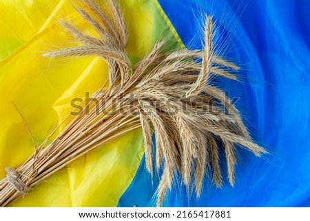grain wheat and spikelets on a blue background. Ukrainian flag and  grain and problems of blockade of ports