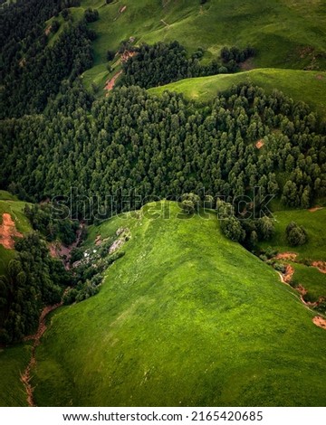 Mountain green slope with rare trees drone view