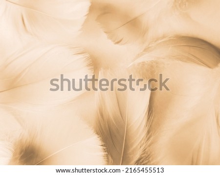 Beautiful abstract white and brown feathers on white background and soft yellow feather texture on white pattern and yellow background, feather background, gold feathers banners, brown texture Royalty-Free Stock Photo #2165455513