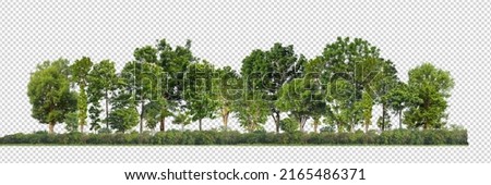Green trees isolated on transparent background forest and summer foliage for both print and web with cut path and alpha channel Royalty-Free Stock Photo #2165486371