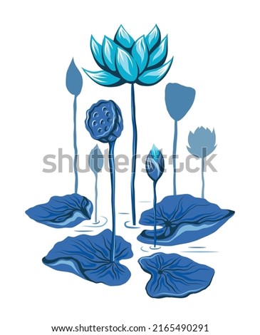 Vector illustration with blue lotuses and stems. Botanical image with foliage and flowers on white background. Flat hand drawn clip art composition of water lilies and seed pods
