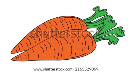 Carrot vector drawing icon. Vegetable in retro style, outline illustration of farm product for design advertising products shop or market.