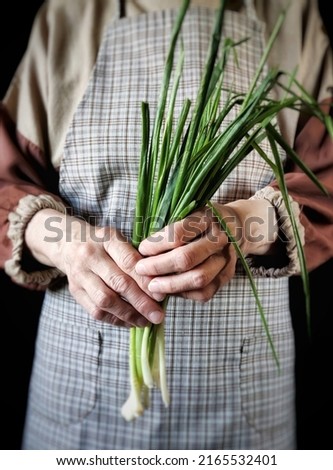Person in rustic apron holding bunch of fresh green onion. Green vegetables in the hand of woman with copy space.
