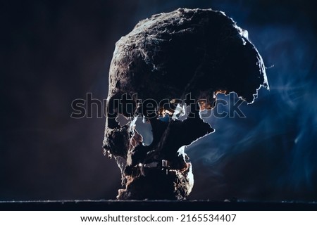 Real human skull in mysterious, foggy light. Spooky, horror wallpaper for Halloween.