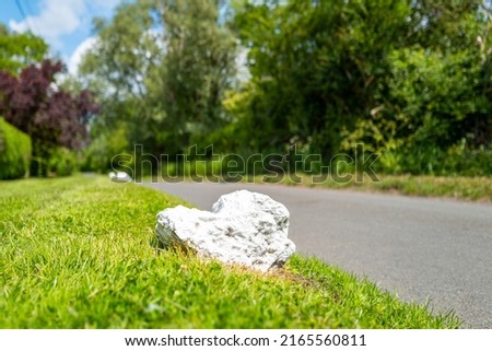 Shallow focus of one of a series of white painted rocks seen on a grassy verge, used to help prevent vehicles from damaging the kerb and grass area. Royalty-Free Stock Photo #2165560811