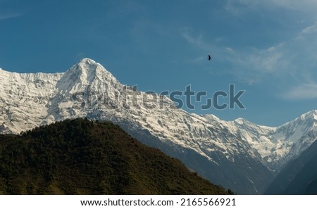 View of Mt.Hiunchuli (6,441 metres) view from Chomrong village on the way to Annapurna Base Camp, Nepal. Hiunchuli is a peak situated in the Annapurna massif. Royalty-Free Stock Photo #2165566921
