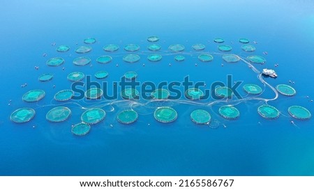 Aerial drone photo of fish farming industry net round fish hatching cages in Mediterranean deep blue seep sea waters