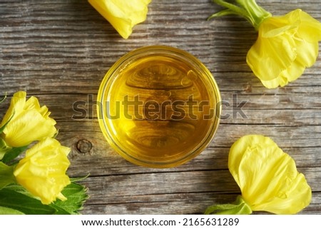 Top view of a bowl of evening primrose oil with fresh blooming plant  Royalty-Free Stock Photo #2165631289