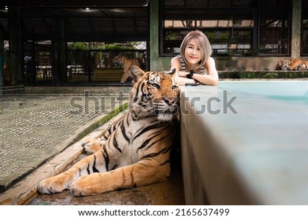 Selective focus of young short-haired Asian woman laying with arms crossed on the pool edge smiling at camera near orange-black striped adult tiger laying on ground in front of her at Tiger kingdom.